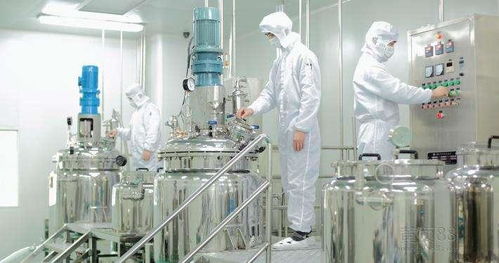 國內與外國在華化妝品代加工廠的比較研究 以學習工具為啟示